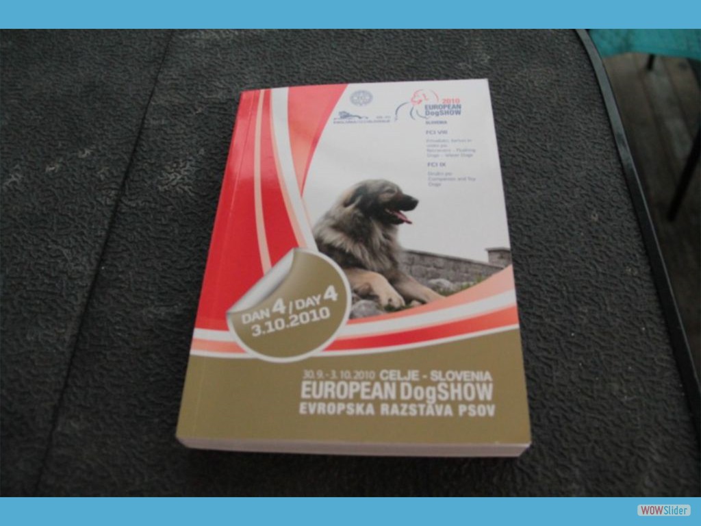 EUROPEANDOGSHOW_2010_10_03_9__855_x_570_