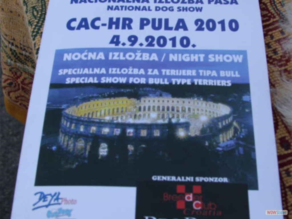 nationalshowdog_pula4_500